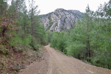 Kırsal çakıl yolu. Yüksek kalite fotoğraf