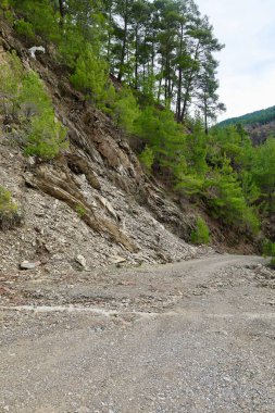 Kırsal çakıl yolu. Yüksek kalite fotoğraf