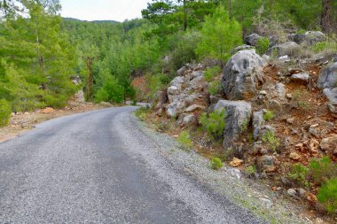 Kırsal çakıl yolu. Yüksek kalite fotoğraf