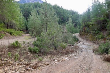 Kırsal çakıl yolu. Yüksek kalite fotoğraf