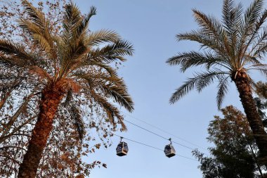 Palm trees gondolas sky. High quality photo clipart