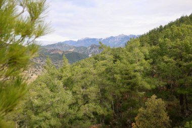 Hillside yeşillik gökyüzü. Yüksek kalite fotoğraf
