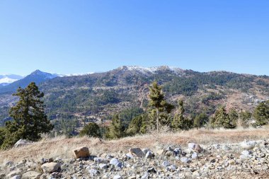 Dağlık orman manzarası. Yüksek kalite fotoğraf