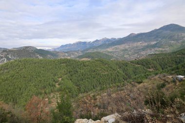 Hillside yeşillik gökyüzü. Yüksek kalite fotoğraf