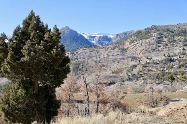 Rocky Dağı manzarası. Yüksek kalite fotoğraf