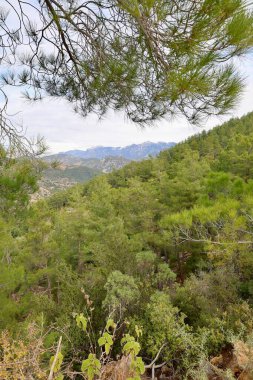 Hillside yeşillik gökyüzü. Yüksek kalite fotoğraf