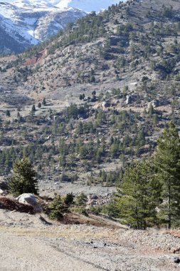 Dağlık orman manzarası. Yüksek kalite fotoğraf