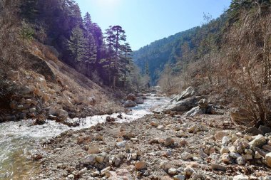 Dağ akıntısı manzarası. Yüksek kalite fotoğraf