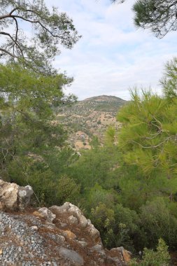 Hillside yeşillik gökyüzü. Yüksek kalite fotoğraf