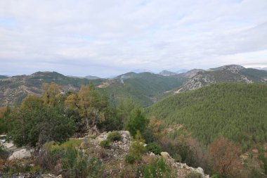 Rocky peyzaj yeşilliği. Yüksek kalite fotoğraf