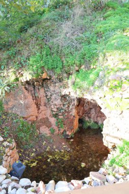 Stone Basamakları Palm House Meyve Bahçesi. Yüksek kalite fotoğraf