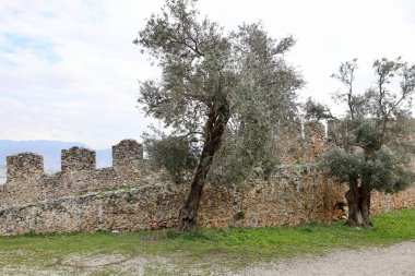 Eski taş kalıntıları. Yüksek kalite fotoğraf
