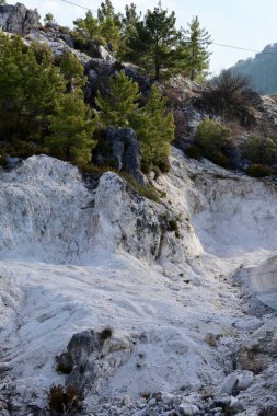 Rocky yamaç ağaçları. Dağ yolu manzarası. Dağ yolu manzarası. Yüksek kalite fotoğraf