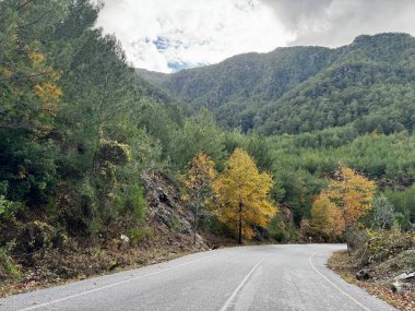 Doğanın sonbahar renklerinde bir dağ yolu. Yüksek kalite fotoğraf