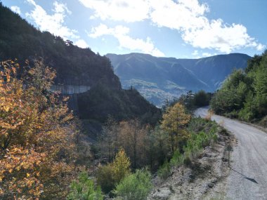 Sonbahar tarlası kuru çimenler çıplak ağaç bulutları. Yüksek kalite fotoğraf 