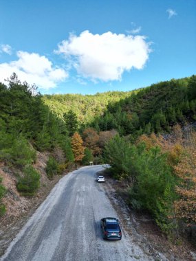 Sonbahar tarlası kuru çimenler çıplak ağaç bulutları. Yüksek kalite fotoğraf 