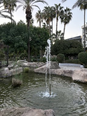 Park tropikal bitkiler tatil beldesi. Yüksek kalite fotoğraf