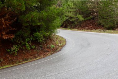 Puslu dağ yolu. Yüksek kalite fotoğraf