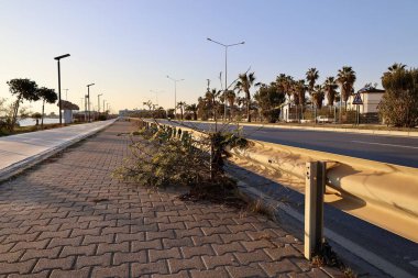 Yol kenarındaki ağaçların yolu. Yüksek kalite fotoğraf