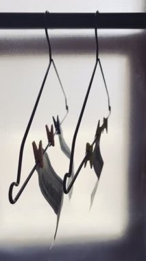 Para yıkadıktan sonra para kurutma rafı. Yüksek kalite 4k görüntü