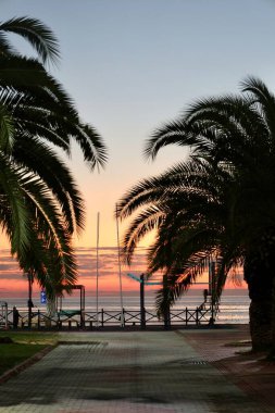 Gün batımı avuç içi siluetleri. Yüksek kalite fotoğraf