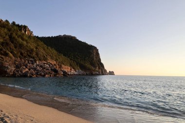 Yeşil ağaçları park et. Yüksek kalite fotoğraf