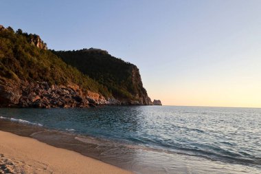 Yeşil ağaçları park et. Yüksek kalite fotoğraf