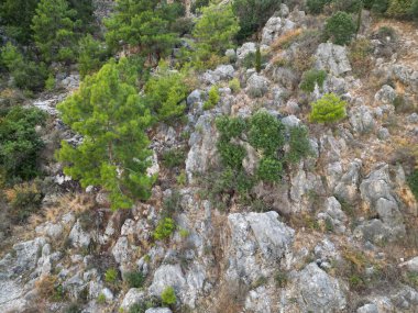 Deniz kıyısındaki bir kayanın üzerindeki kale.