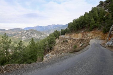Kırsal çakıl yolu. Yüksek kalite fotoğraf