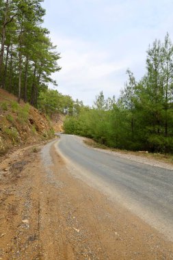 Kırsal çakıl yolu. Yüksek kalite fotoğraf