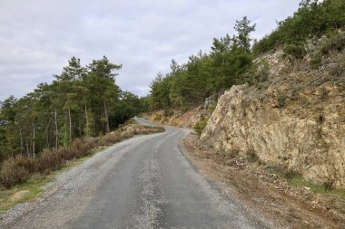 Kırsal çakıl yolu. Yüksek kalite fotoğraf