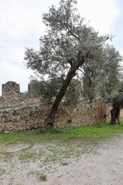 Eski kasabanın tarihi yeri Stone kemer girişi. Yüksek kalite fotoğraf