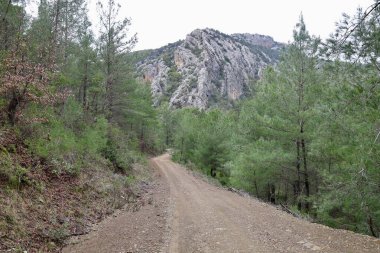 Kırsal çakıl yolu. Yüksek kalite fotoğraf