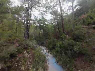 Dağlarda, doğanın arka planına karşı, dağlarda, doğanın arka planına karşı. Yüksek kalite fotoğraf