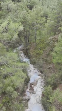 Dağlarda, doğanın arka planına karşı, dağlarda, doğanın arka planına karşı. Yüksek kalite fotoğraf