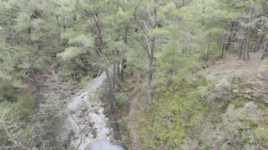 Dağlarda, doğanın arka planına karşı, dağlarda, doğanın arka planına karşı. Yüksek kalite fotoğraf