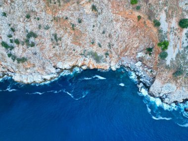 Cliffside orman kıyı şeridi. Yüksek kalite fotoğraf