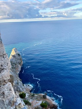 Cliffside orman kıyı şeridi. Yüksek kalite fotoğraf