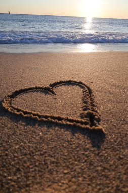 Kalp kumsalı. Yüksek kalite 4k görüntü