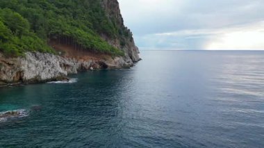 Cliffside orman kıyı şeridi Kayalık