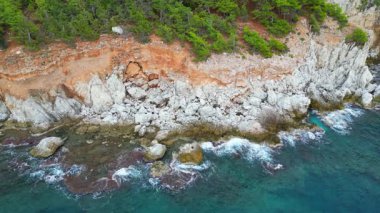 Cliffside orman kıyı şeridi Kayalık