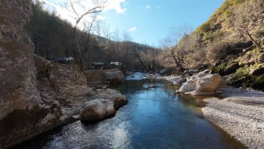 Rocky orman deresi. Yüksek kalite fotoğraf