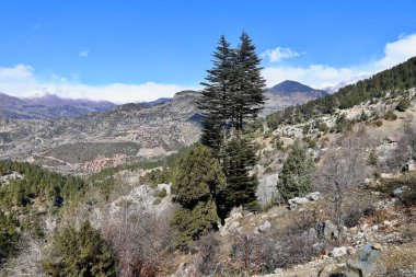 Rocky Dağı manzarası. Dağlık manzaralı bir manzara. Yüksek kalite fotoğraf