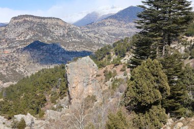 Rocky Dağı manzarası. Dağlık manzaralı bir manzara. Yüksek kalite fotoğraf
