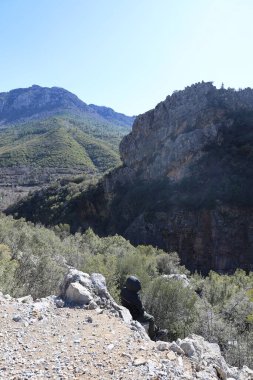 Dağlık orman kanyonu. Yüksek kalite fotoğraf