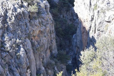 Dağlık orman kanyonu. Yüksek kalite fotoğraf