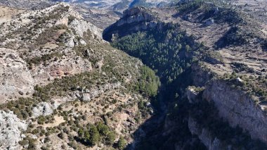 Dağlık orman kanyonu. Yüksek kalite fotoğraf