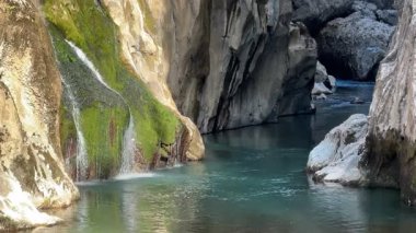 Rocky Creek Kanyonu. Yüksek kalite fotoğraf