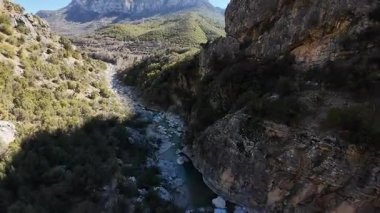 Rocky Creek Kanyonu. Yüksek kalite fotoğraf