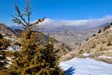 Dağlar, ağaçlar, gökyüzü. Yüksek kalite fotoğraf